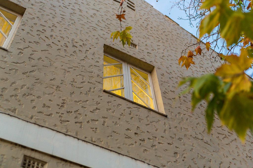 Globe Apartments Wagga Wagga Exterior photo